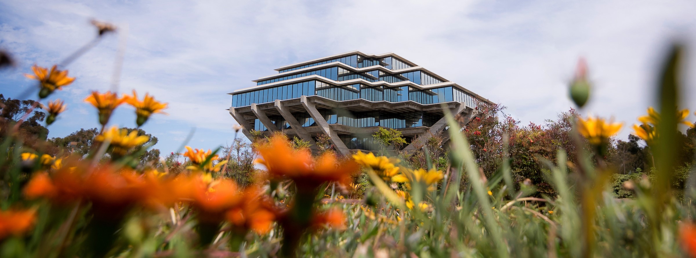 Geisel Library at UC San Diego - exterior photo of the building with flowers in the foreground